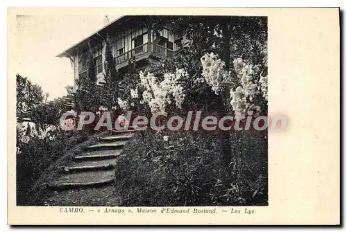 Cartes postales Cambo Arnaga Maison d'Edmond Rostand Les Lys