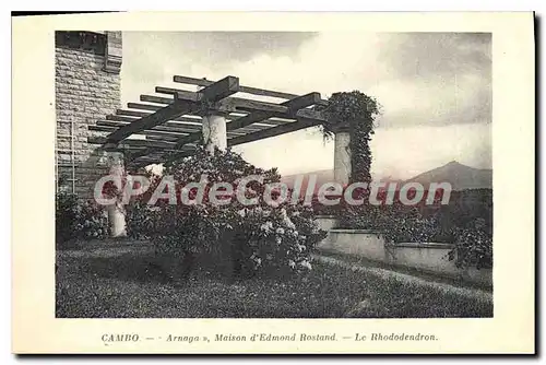 Cartes postales Cambo Arnaga Maison d'Edmond Rostand Le Rhododendron