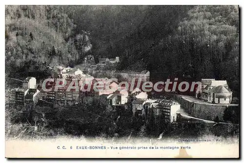 Cartes postales Eaux Bonnes vue generale prise de la montagne verte