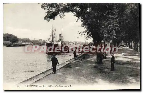 Cartes postales Bayonne Les Allees Marines