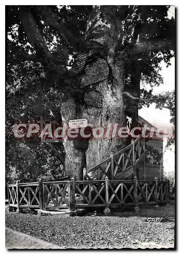 Cartes postales moderne ALLOUVILLE BELLEFOSSE le ch�ne class� 1932