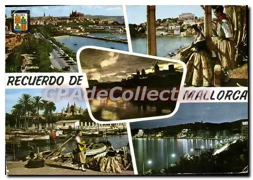 Cartes postales moderne MALLORCA PALMA Jonquet Corb Mari Port Cath�drale