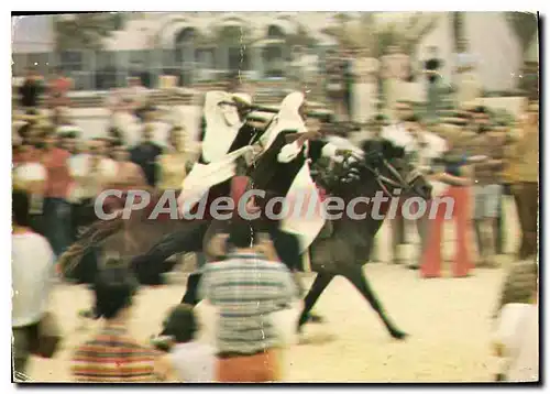 Cartes postales moderne Fantaisie sur la plage