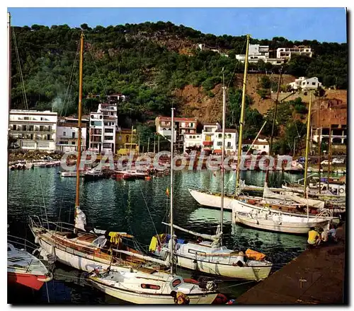 Cartes postales moderne COSTA BRAVA ESTARTIT Port