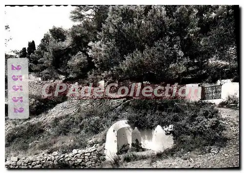 Cartes postales moderne GRUISSAN cimeti�re marin