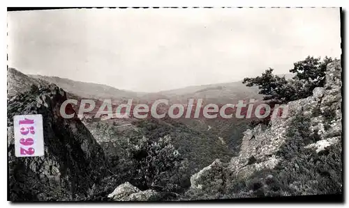 Cartes postales moderne DOURBIES vue du roc de Cade