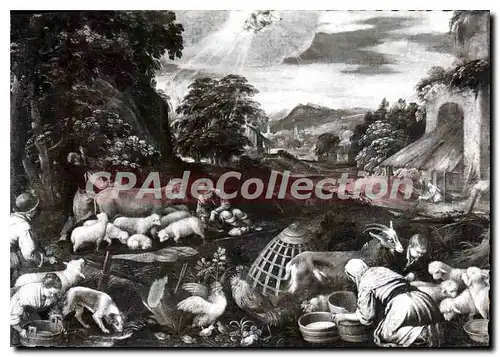 Cartes postales moderne mus�e des beaux arts de Nimes atelier de Jacopo Bassano l'annonce aux bergers