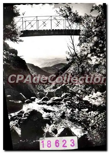 Cartes postales moderne Massif De L'Aigoual Passerelle De I'Orgon