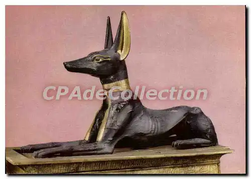 Cartes postales moderne Toutankhamon Anubis