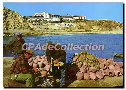 Cartes postales moderne Portugal Algarve Sagres