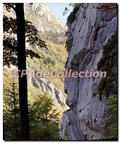 Cartes postales moderne Sur Une Route Des Alpes Vertige