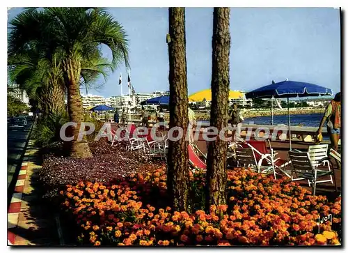 Cartes postales moderne Cannes La Croisette