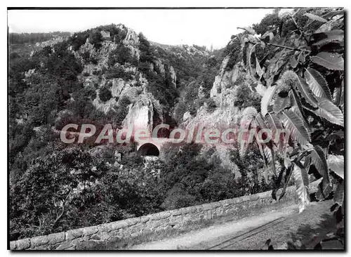 Cartes postales moderne Le Mont Aigoual Le Pont De La Chevre