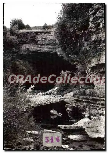 Cartes postales moderne Massif De L'Aigoual Le Ruisseau Du Bonheur