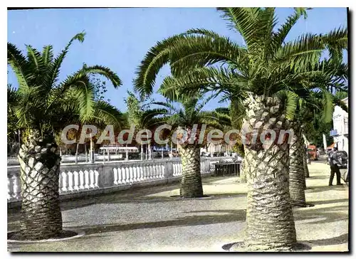 Cartes postales moderne Perpignan Le Palmarium