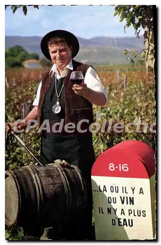 Cartes postales moderne Collection Bourguignonne Beaujolaise Et Maconnaise De Vigne En Tonne