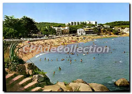 Cartes postales moderne Costa Brava Palamos Playa De La Fosca Detalle