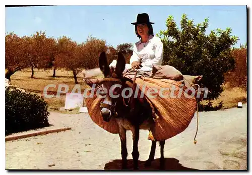 Cartes postales moderne Portugal Algarve Costumes