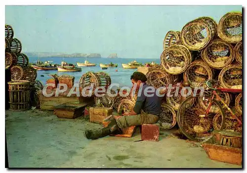 Cartes postales moderne Portugal Algarve Sagres