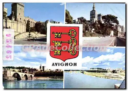 Cartes postales moderne Avignon Le Palais Des Papes