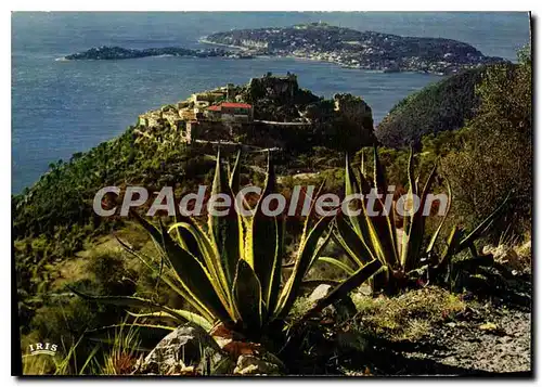 Cartes postales moderne Eze Le Cap Ferrat