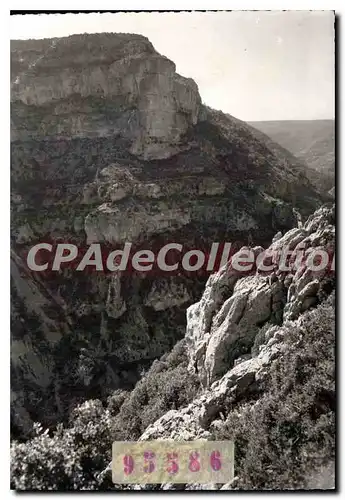 Cartes postales moderne Les Gorges De La Nesque