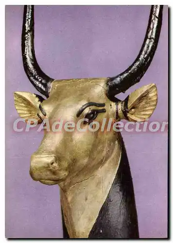 Cartes postales moderne Toutankhamon T�te de vache sacr�e