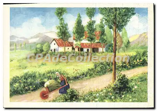 Cartes postales moderne Paysage montagne