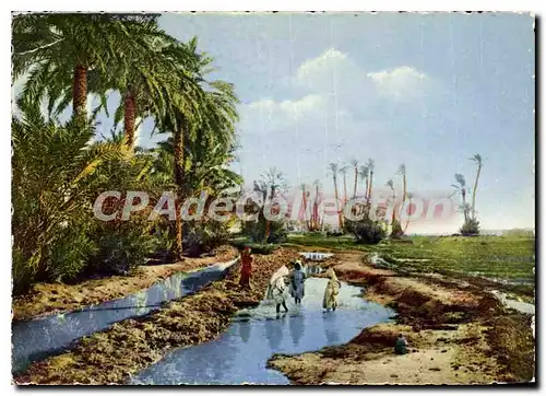 Cartes postales moderne Scenes Types Dans L'Oasis La S�guia