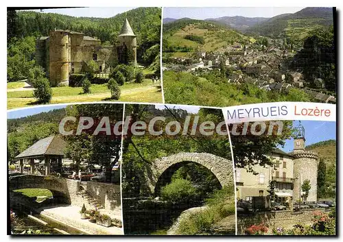 Cartes postales moderne Dans les Gorges de la Jonte Meyrueis