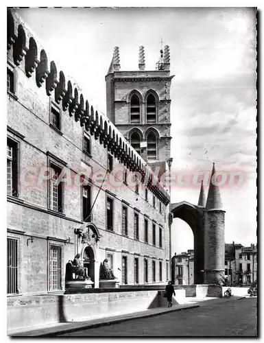 Cartes postales moderne Montpellier La Faculte de Medecine et la Cathedrale