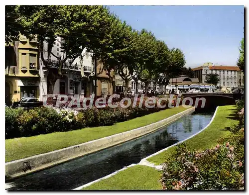 Cartes postales moderne Perpignan La Basse au fond le Palmarium