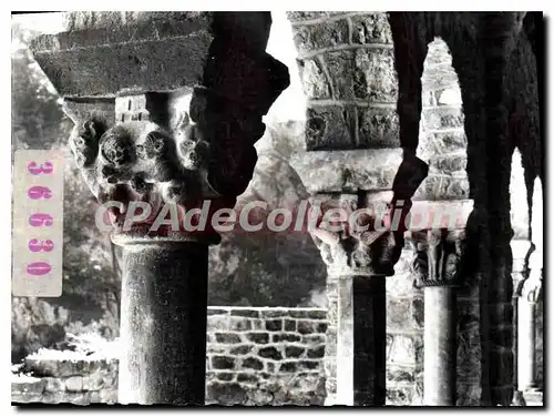 Cartes postales moderne Saint Martin Du Canigou Chapiteaux