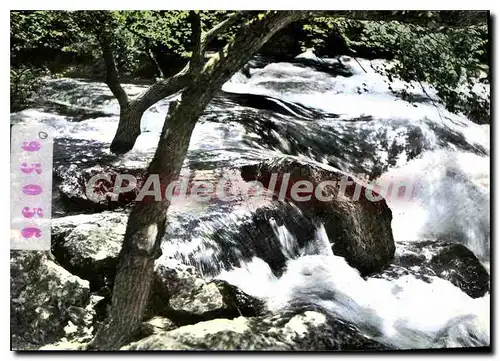 Cartes postales moderne Fontaine de Vaucluse Le Torrent de la Sargue