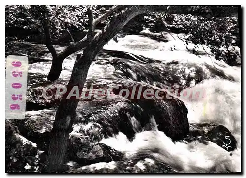 Cartes postales moderne Fontaine de Vaucluse Le Torrent de la Sargue