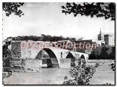 Cartes postales moderne Avignon Le Pont Saint Benezet Sur le Rhone