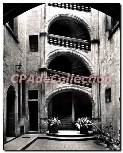 Cartes postales moderne Montpellier Escalier de l'Hotel de Mirmand