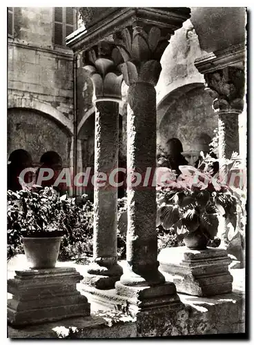 Cartes postales moderne Saint Remy De Provence Le Cloitre Saint Paul de Mausole