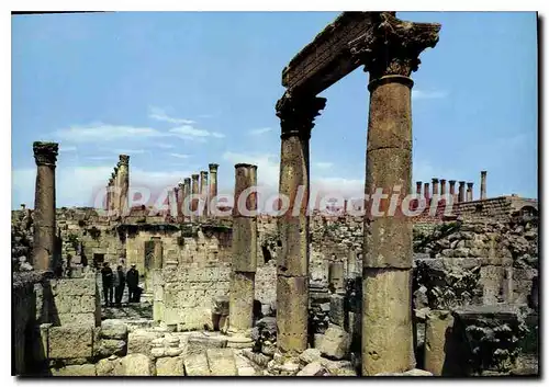 Cartes postales moderne Jerash