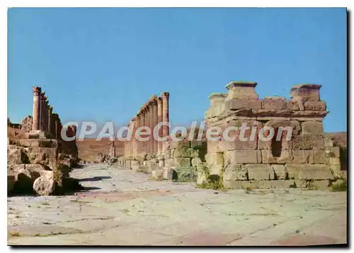 Cartes postales moderne Jerash Roman City