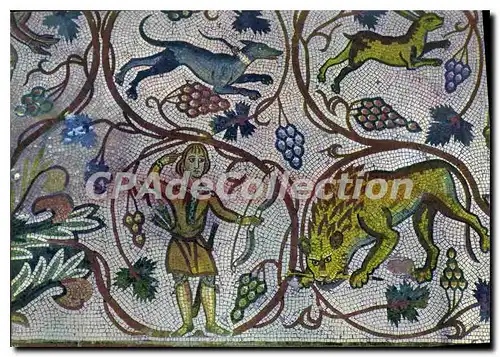 Cartes postales moderne Moraic As Mukhayat