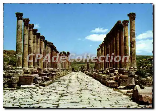 Cartes postales moderne Jerash The Way Of The Columms