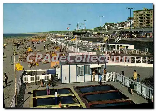 Cartes postales moderne Scheveningen Holland
