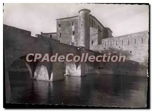 Cartes postales moderne Aigues Mortes Vue Des Remparts