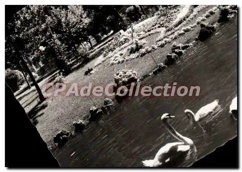 Cartes postales moderne La Rochelle Au Mail I'Etang Des Cygnes