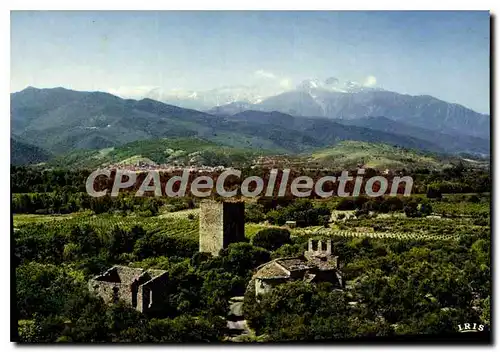 Moderne Karte Ille Sur Tet La Vue Generale Et Le Canigou