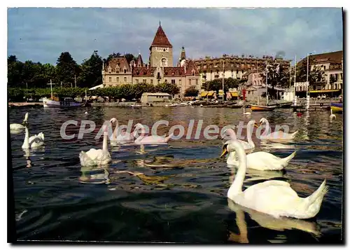 Cartes postales moderne Ouchy Lausanne Le Port Et Le Chateau