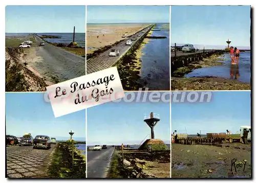 Cartes postales moderne Ile De Noirmoutier Le Passage Du Gois