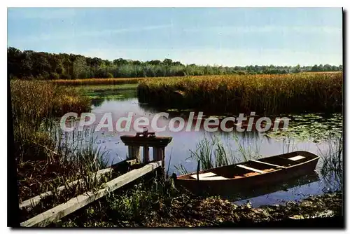 Cartes postales moderne En Sologne L'Etang