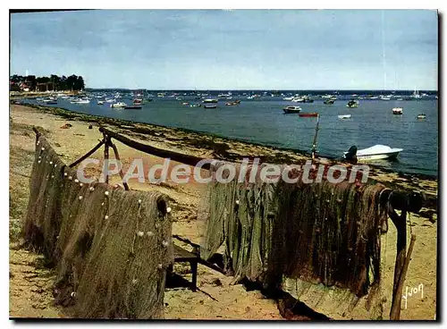 Cartes postales moderne Couleurs Et Lumiere De France Cap Ferret